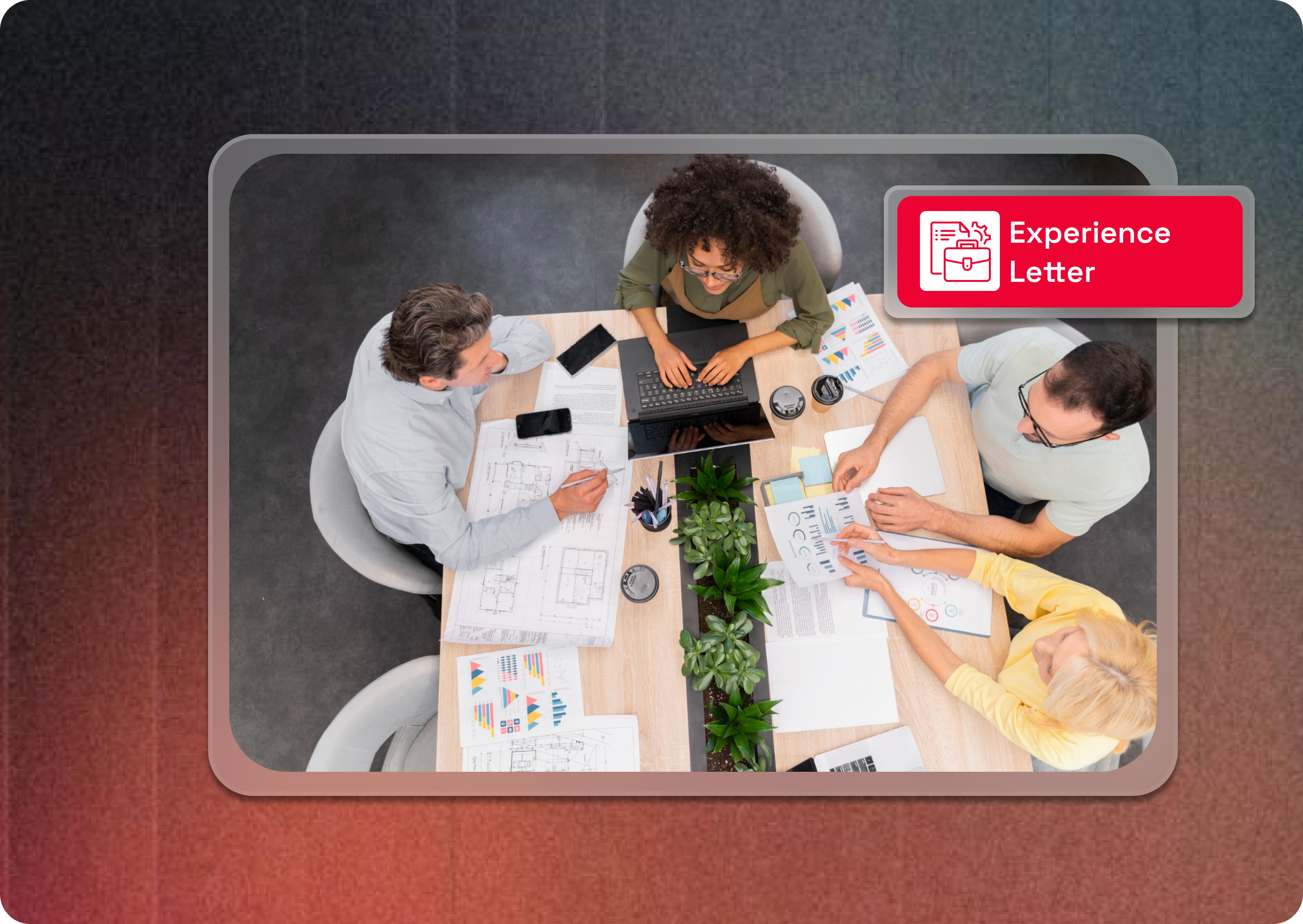 Professional Portfolio